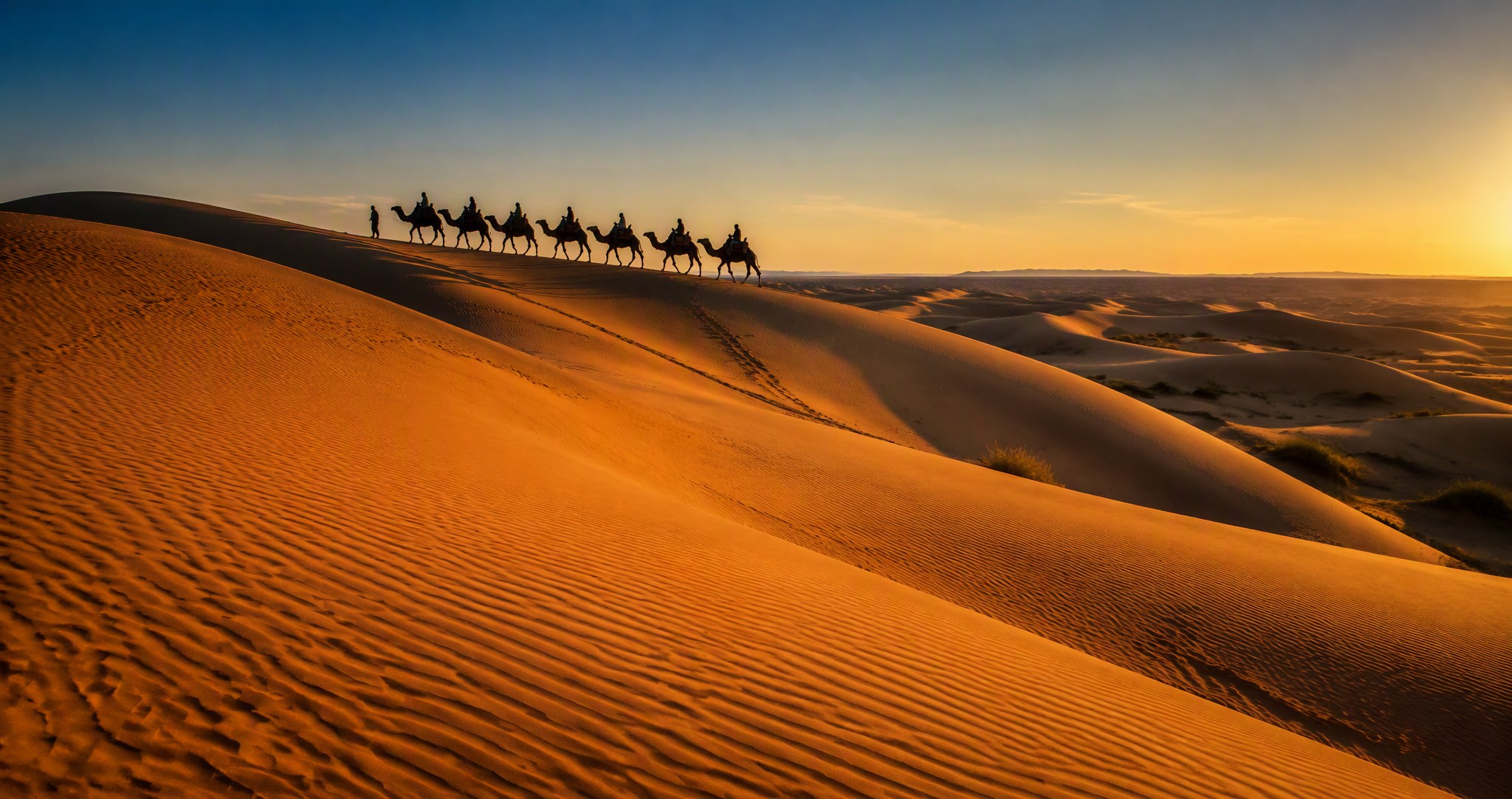 Golden dunes of the Kubuqi Desert with a camel caravan at sunset